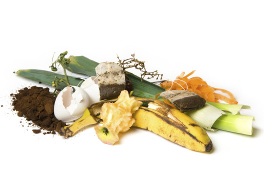 Compost
