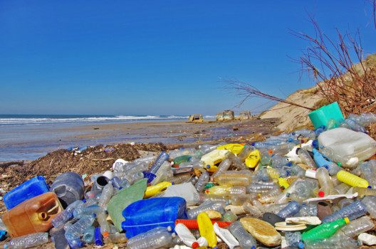 Biodegradability of plastics in the marine environment