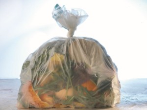 biowaste bag