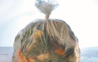 biowaste bag
