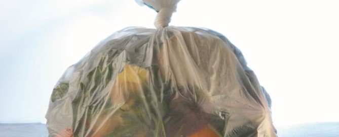 biowaste bag