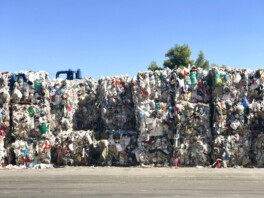 The fate of compostable plastics in post-consumer recycling streams 