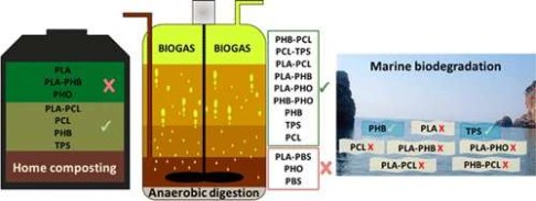 Study aims to understand the biodegradation of individual polymers and their blends in managed and unmanaged environments