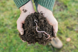 How compostable plastics contribute to soil health