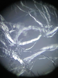 Open Call regarding nano-enabled bio-based materials technologies and solutions