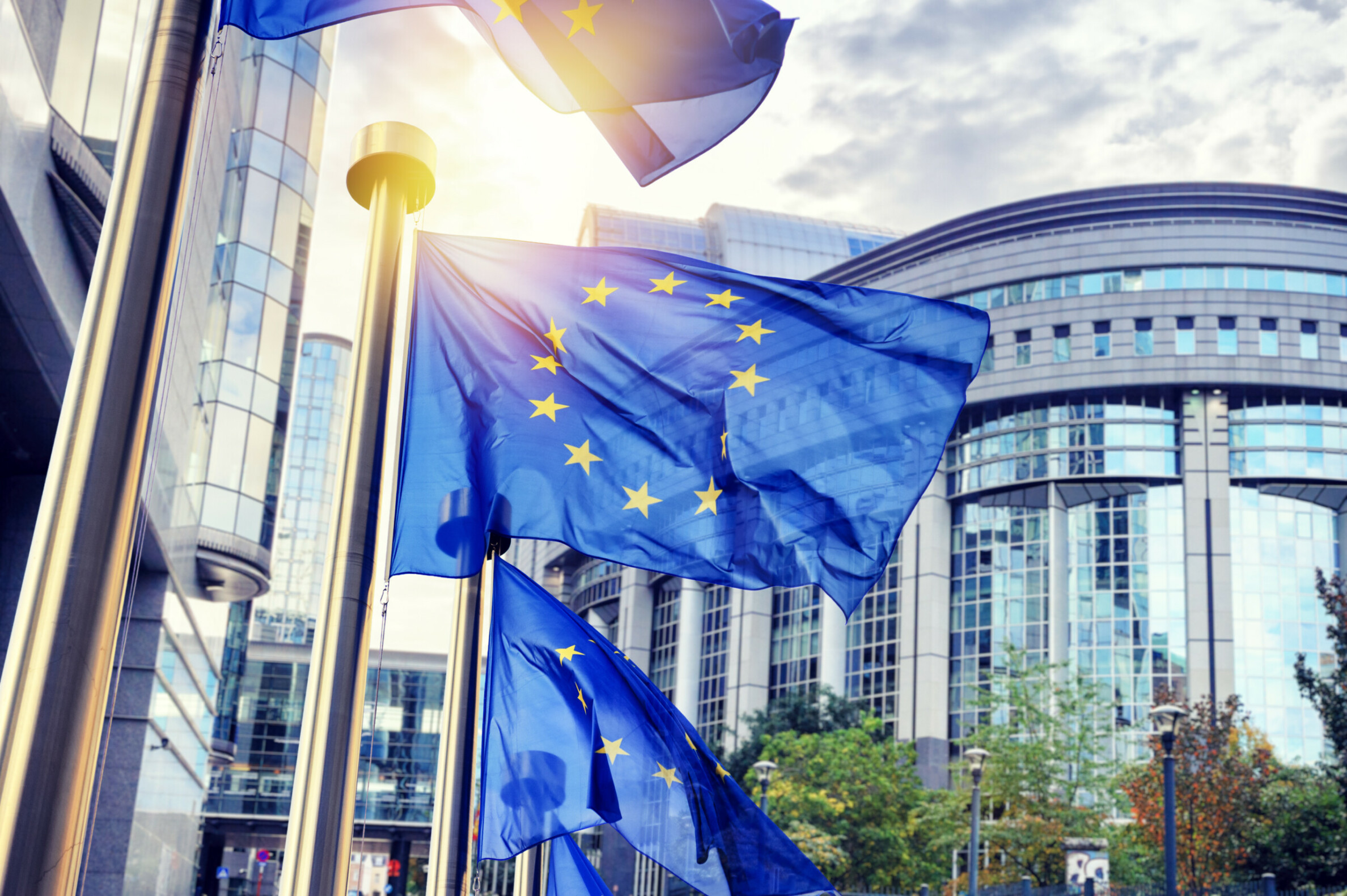 eu-flags-waving-in-front-of-european-parliament-building-in-brus-4